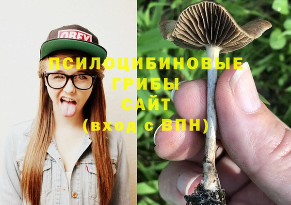 a pvp Алексеевка