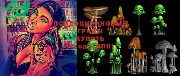 a pvp Алзамай