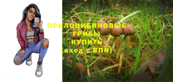 a pvp Алзамай