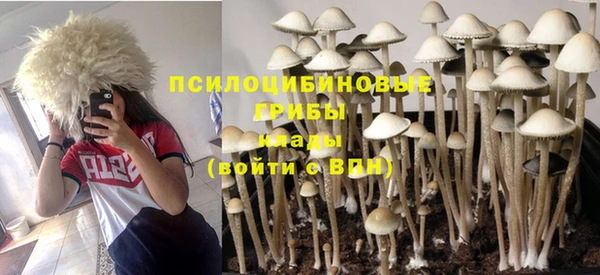первитин Алексин
