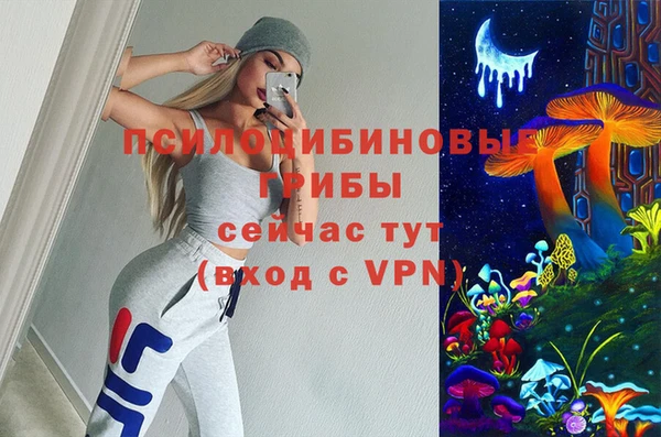a pvp Алзамай
